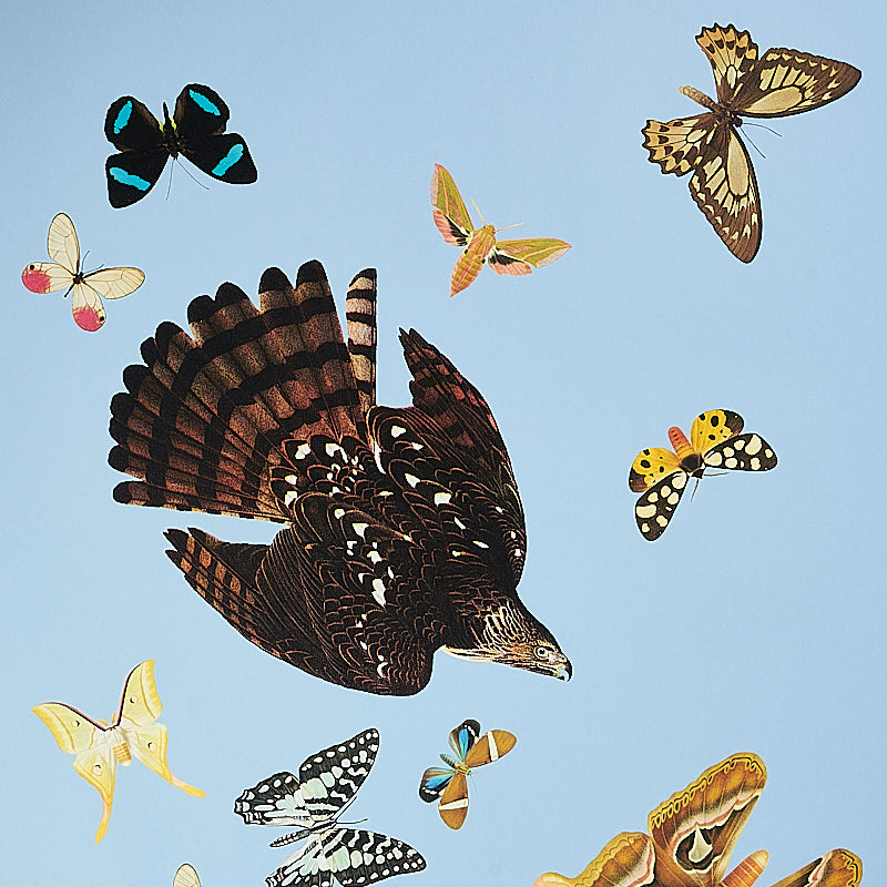Large brown hawk with white speckles glides among vibrant butterflies on a blue sky background.