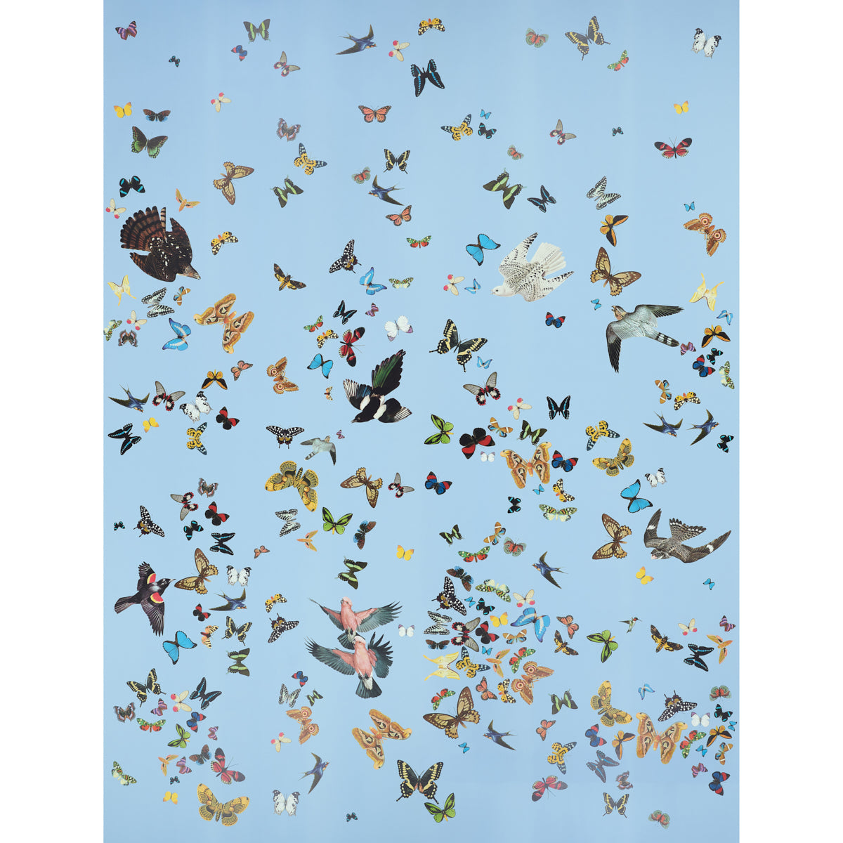 Numerous colorful butterflies flutter across a pale blue sky, with diverse wing patterns and sizes.