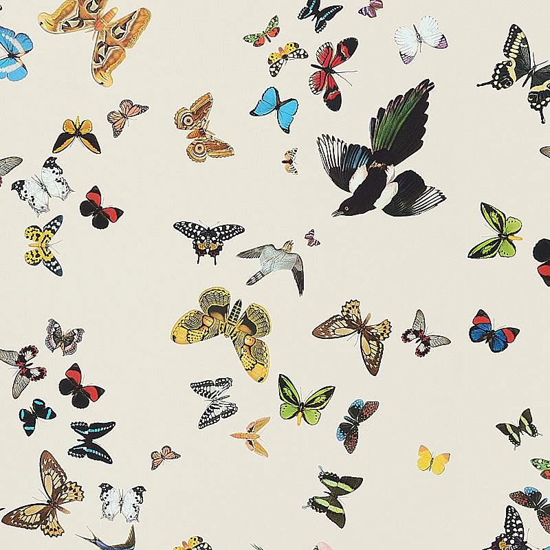 Colorful butterfly print on cream background; assorted butterflies in yellows, blues, greens and blacks.