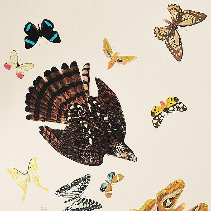 Illustration of a large dark brown hawk with outstretched wings surrounded by colorful butterflies on a cream background