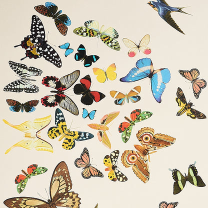 Assorted colorful butterfly print collage panels on cream background; vibrant wing patterns for wall decor.