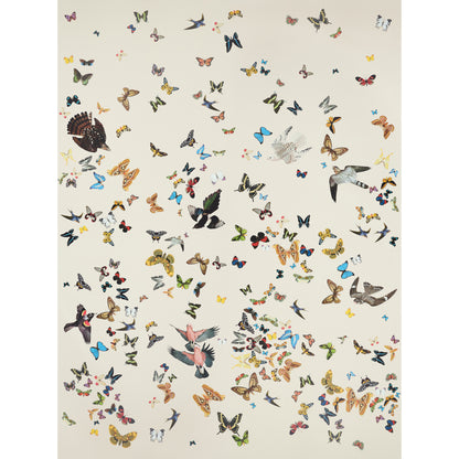 Cream backdrop with a scatter of colorful butterfly silhouettes in flight; whimsical wall decor.