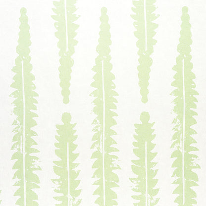 SCHUMACHER  MOLLY MAHON FERN   SAGE   - 5011111