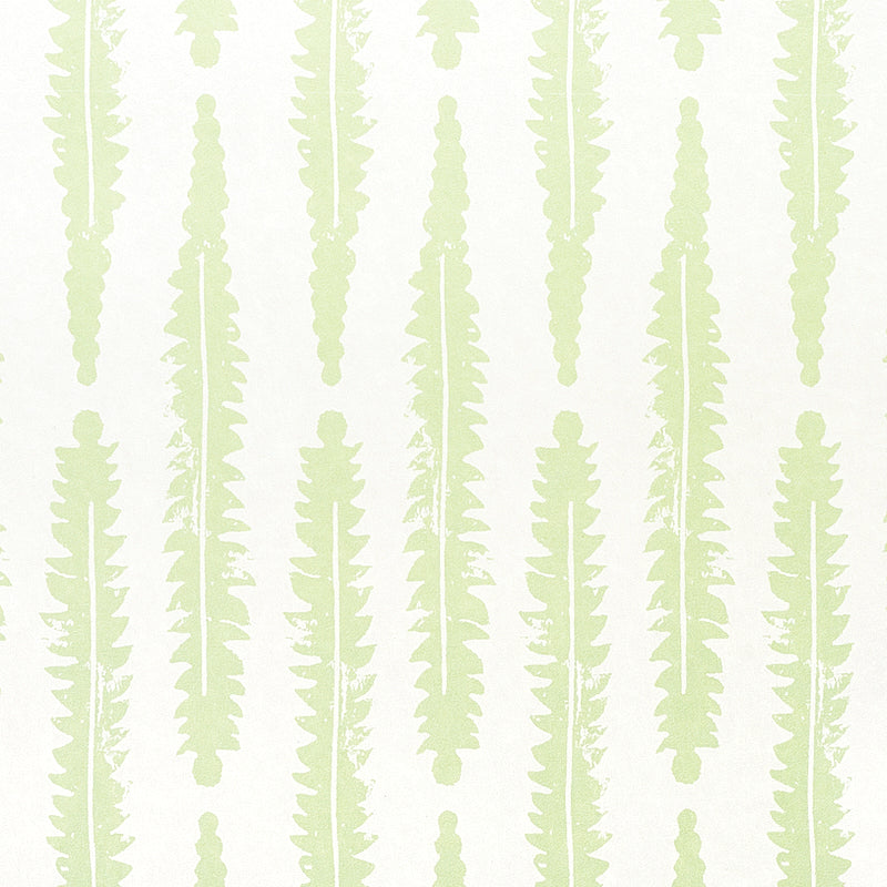 SCHUMACHER  MOLLY MAHON FERN   SAGE   - 5011111
