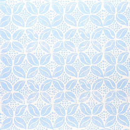 SCHUMACHER  MOLLY MAHON COFFEE BEAN   SKY   - 5011141