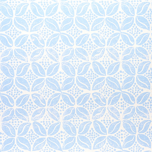 SCHUMACHER  MOLLY MAHON COFFEE BEAN   SKY   - 5011141