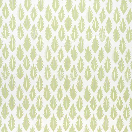 SCHUMACHER  MOLLY MAHON LEAF   GRASS GREEN   - 5011150