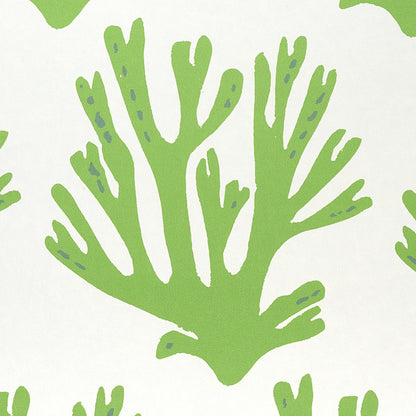 SCHUMACHER  MOLLY MAHON CORAL   GREEN   - 5011200