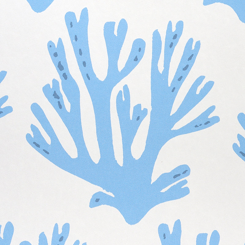 SCHUMACHER  MOLLY MAHON CORAL   BLUE   - 5011201