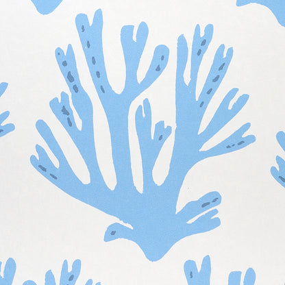 SCHUMACHER  MOLLY MAHON CORAL   BLUE   - 5011201