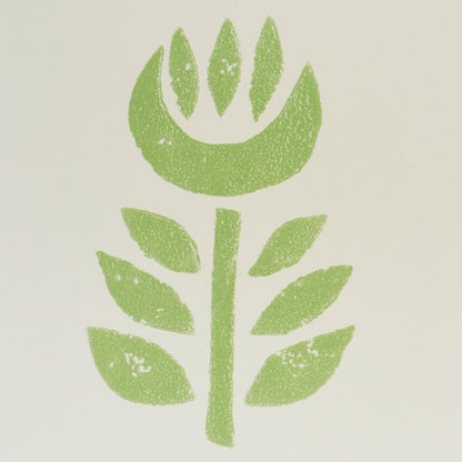 SCHUMACHER WALLCOVERING  SCANDINAVIAN MODERN ROSENBORG   GREEN   - 5011332