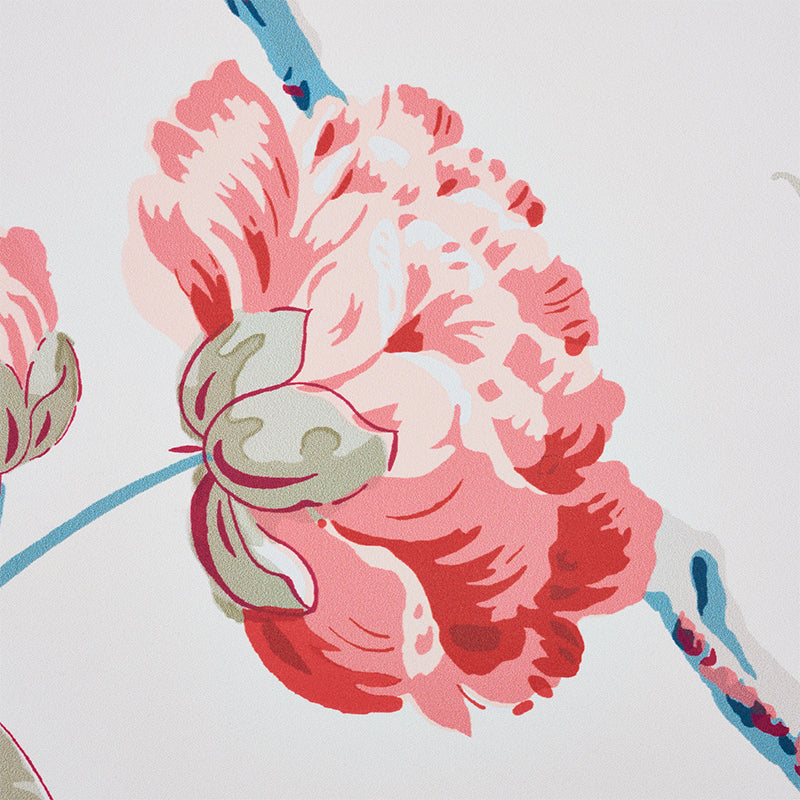 SCHUMACHER  SIGNATURE SCHUMACHER DAYDREAM   ROSE   - 5011401