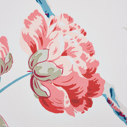 SCHUMACHER  SIGNATURE SCHUMACHER DAYDREAM   ROSE   - 5011401