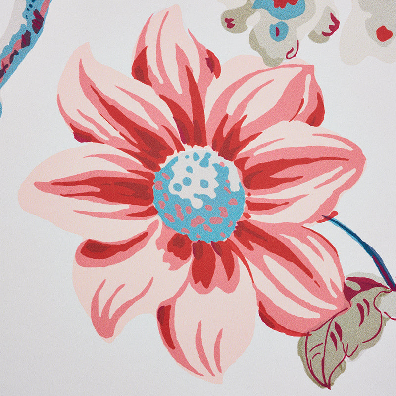 SCHUMACHER  SIGNATURE SCHUMACHER DAYDREAM   ROSE   - 5011401