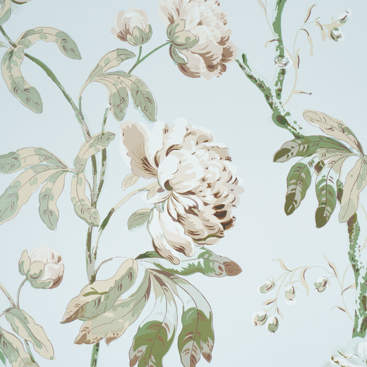 Pastel floral wallpaper featuring cream peonies & green leaves on a light blue background.