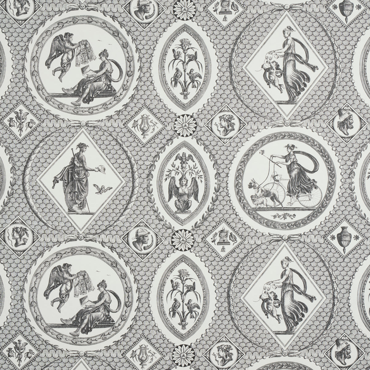 SCHUMACHER  JILL LASERSOHN LES SCENES CONTEMPORAINES   BLACK   - 5011491