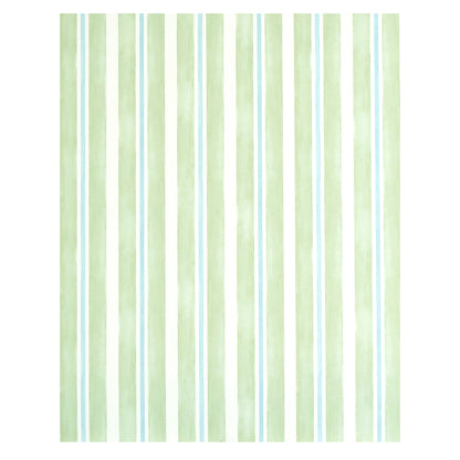 SCHUMACHER  STRIPE WALLCOVERING COLLECTION WATERCOLOR STRIPE   LEAF   - 5011570