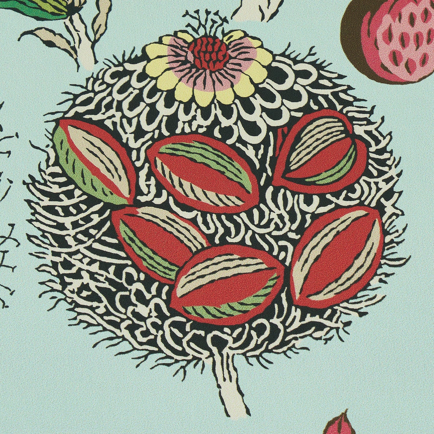 SCHUMACHER  PERENNIAL FAVORITES ROCA REDONDA   MINERAL , PINK   - 5011621