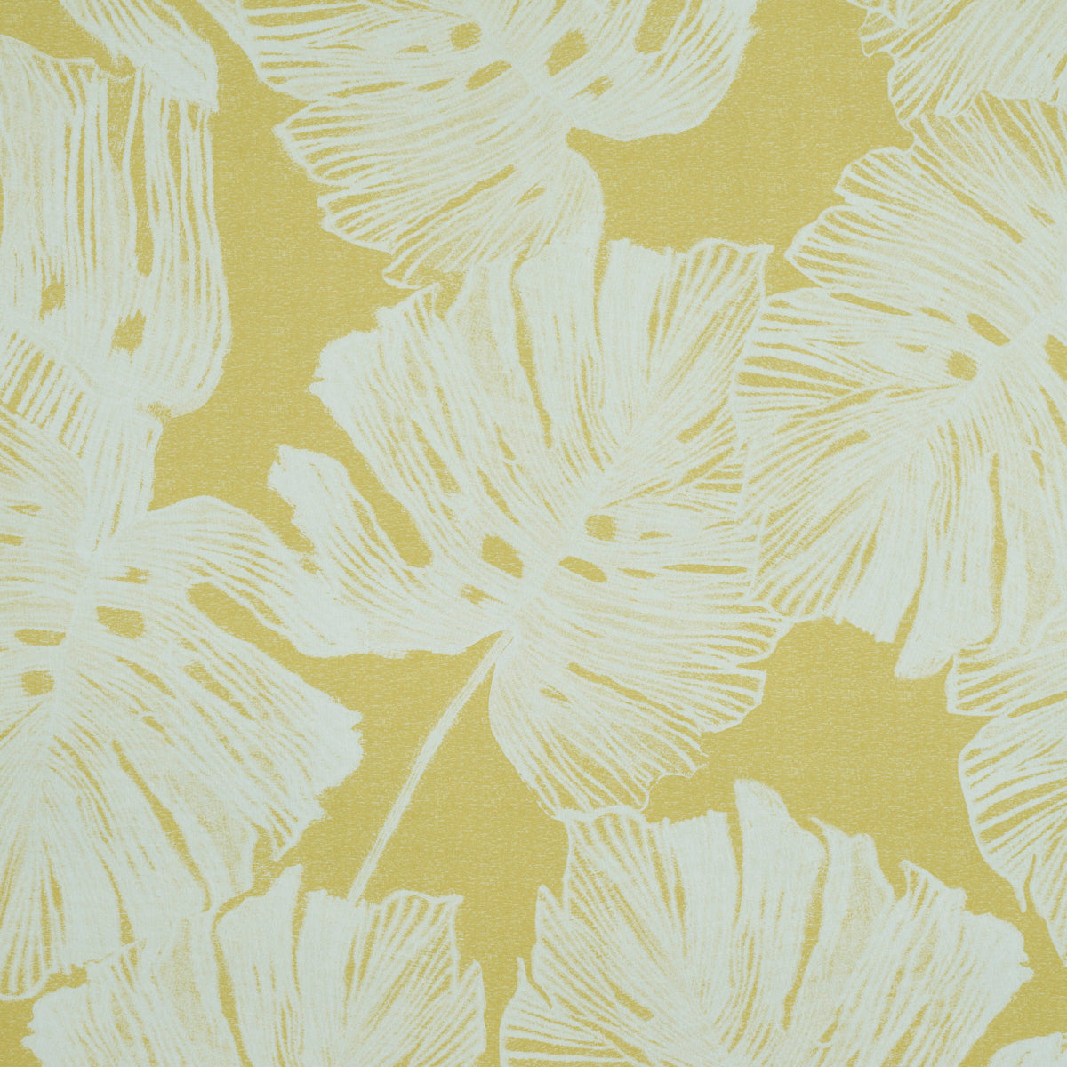 SCHUMACHER  PERENNIAL FAVORITES DEL COCO   YELLOW   - 5011631