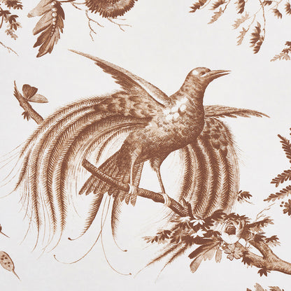 Sepia-toned bird with long, fan-like tail perched on a leafy branch; vintage botanical print.