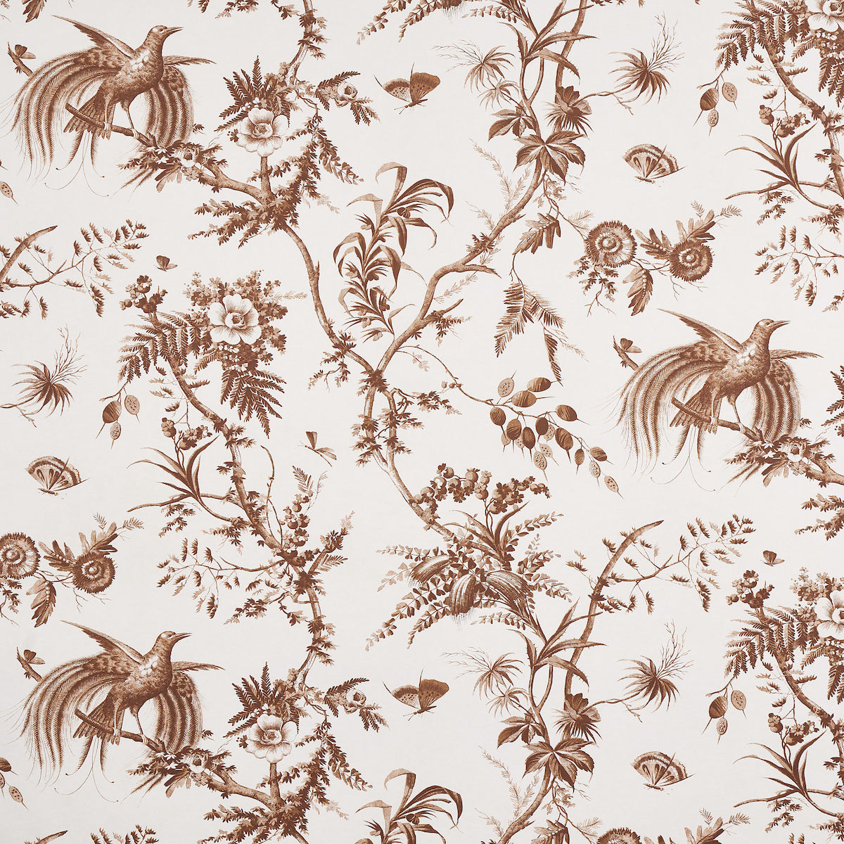 Sepia brown botanical and hummingbird print on cream; vintage toile-style fabric or wallpaper design.