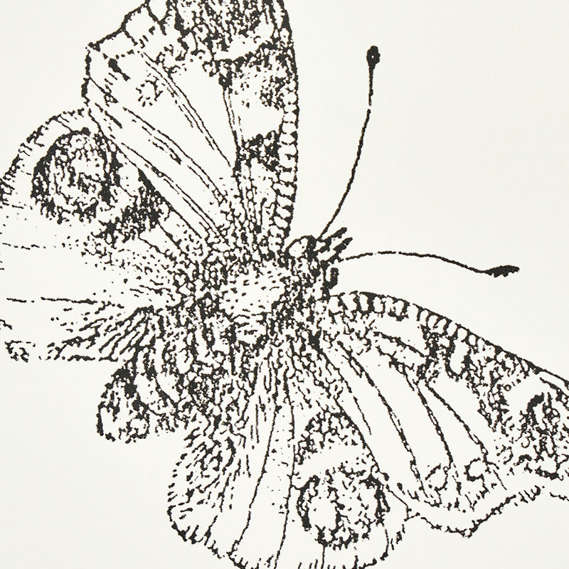 SCHUMACHER  MISTERIOSO BURNELL BUTTERFLY   IVORY   - 5011740