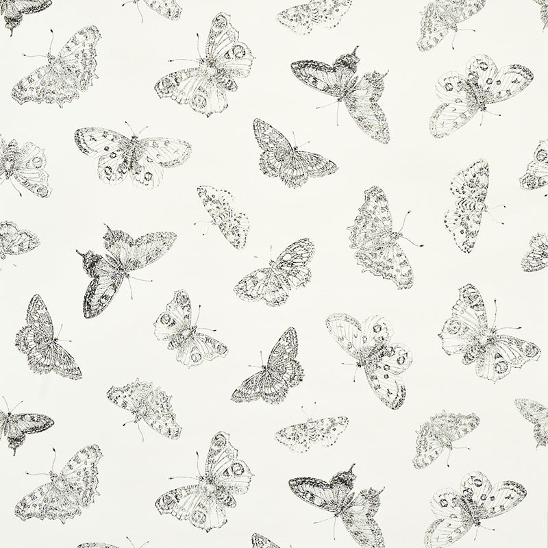 SCHUMACHER  MISTERIOSO BURNELL BUTTERFLY   IVORY   - 5011740