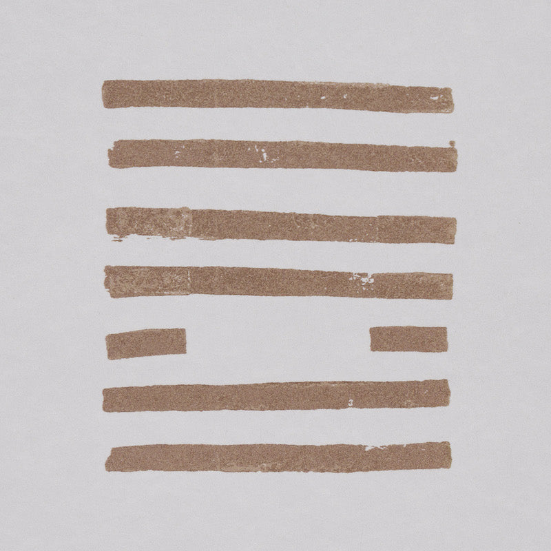 SCHUMACHER  CAROLINE Z HURLEY TIASQUAM   BLUSH   - 5011821