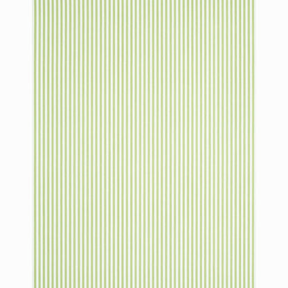 SCHUMACHER  STRIPE WALLCOVERING COLLECTION EDWIN STRIPE NARROW   LEAF   - 5011869
