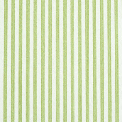 SCHUMACHER  STRIPE WALLCOVERING COLLECTION EDWIN STRIPE NARROW   LEAF   - 5011869
