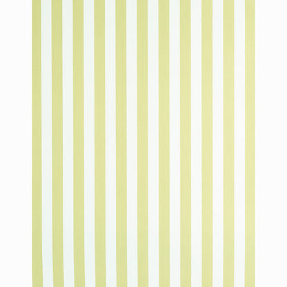 SCHUMACHER  STRIPE WALLCOVERING COLLECTION EDWIN STRIPE MEDIUM   CITRON   - 5011888