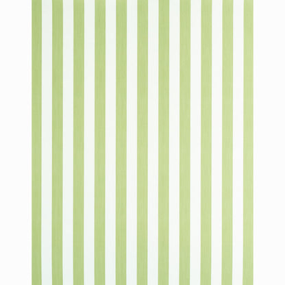 SCHUMACHER  STRIPE WALLCOVERING COLLECTION EDWIN STRIPE MEDIUM   LEAF   - 5011889
