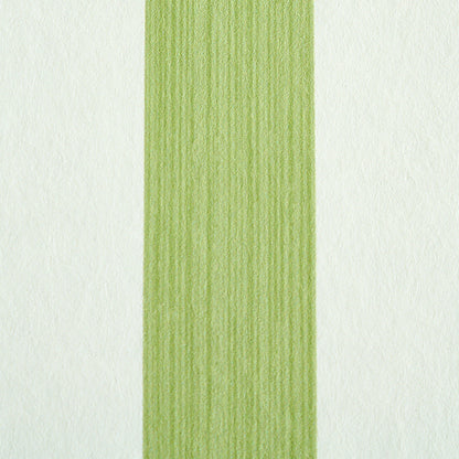 SCHUMACHER  STRIPE WALLCOVERING COLLECTION EDWIN STRIPE MEDIUM   LEAF   - 5011889