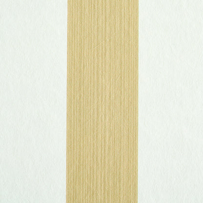SCHUMACHER  STRIPE WALLCOVERING COLLECTION EDWIN STRIPE MEDIUM   S,   - 5011891