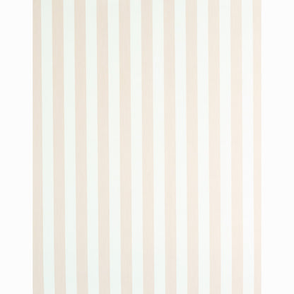 SCHUMACHER  STRIPE WALLCOVERING COLLECTION EDWIN STRIPE MEDIUM   BLUSH   - 5011894