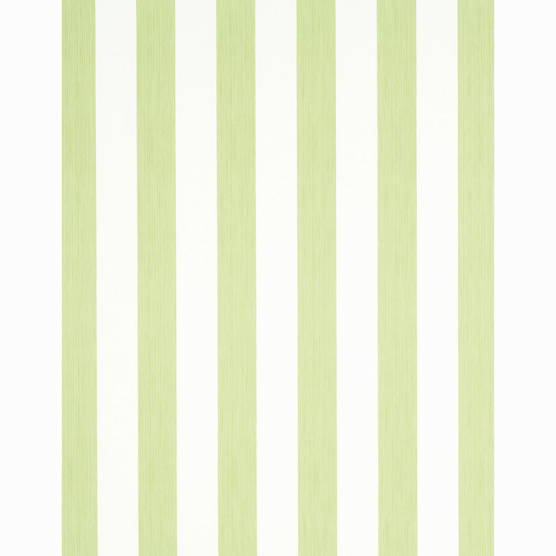 SCHUMACHER  STRIPE WALLCOVERING COLLECTION EDWIN STRIPE WIDE   LEAF   - 5011909