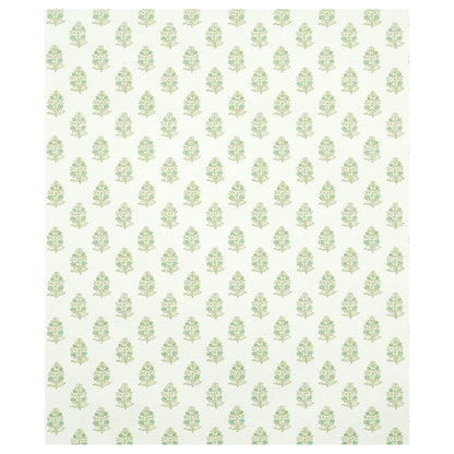 SCHUMACHER WALLCOVERING  JACARANDA ADITI   GREEN   - 5011931