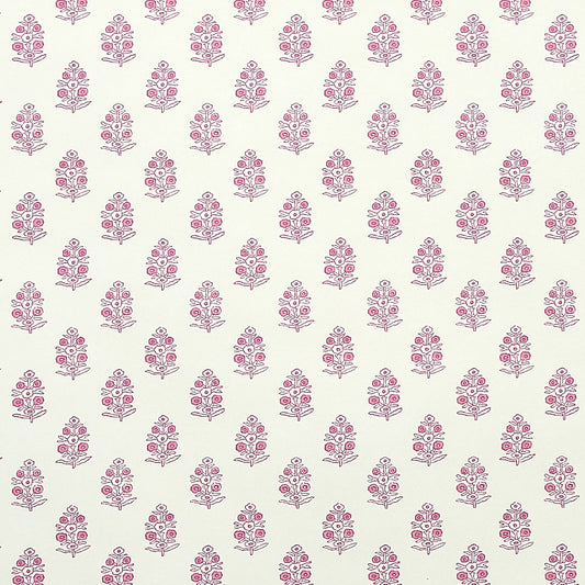 SCHUMACHER  JACARANDA ADITI   PINK   - 5011932