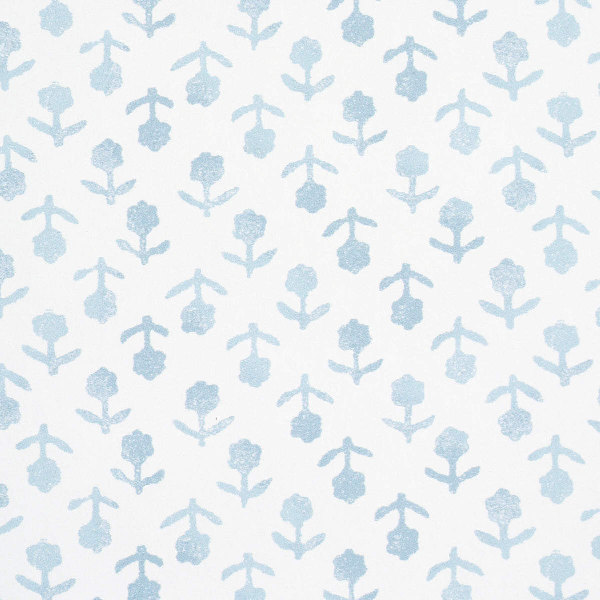 SCHUMACHER  JACARANDA BEATRIZ   SKY   - 5011943