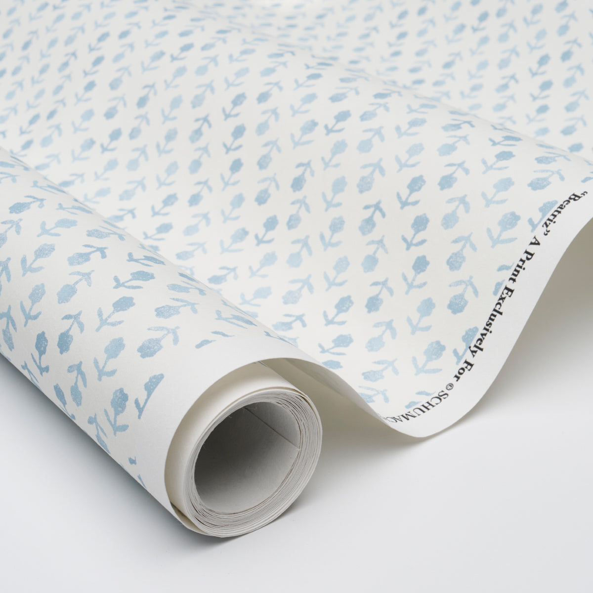 SCHUMACHER  JACARANDA BEATRIZ   SKY   - 5011943