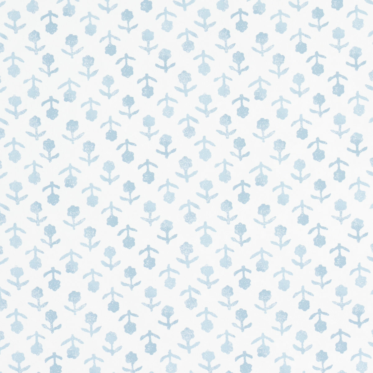 SCHUMACHER  JACARANDA BEATRIZ   SKY   - 5011943