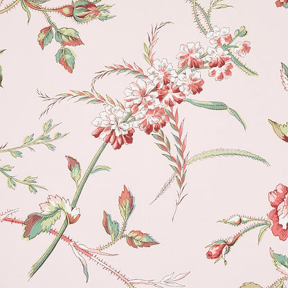 SCHUMACHER  SCHUMACHER CLASSICS BELUZE   BLUSH   - 5011981