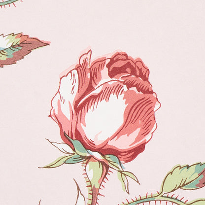 SCHUMACHER  SCHUMACHER CLASSICS BELUZE   BLUSH   - 5011981