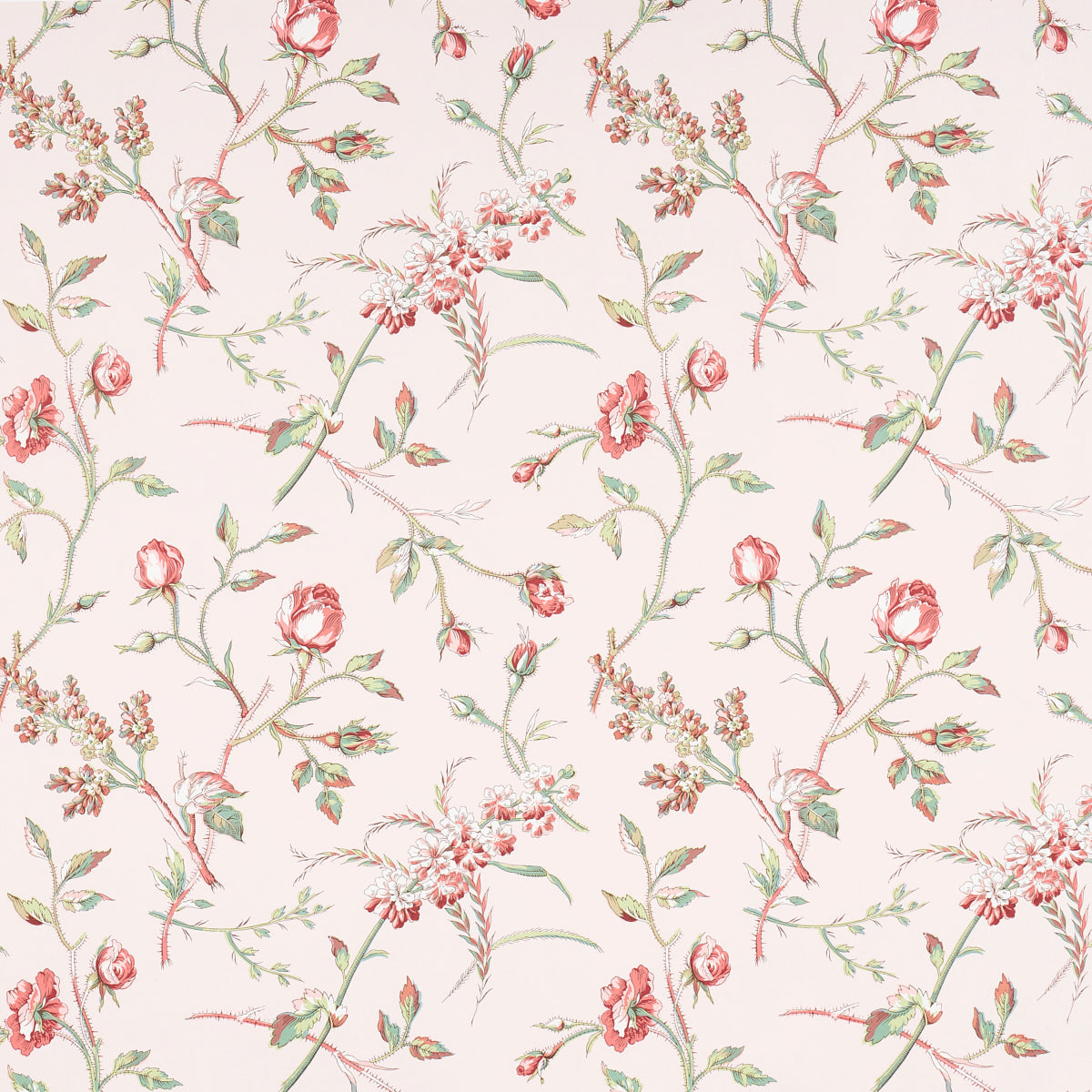 SCHUMACHER  SCHUMACHER CLASSICS BELUZE   BLUSH   - 5011981