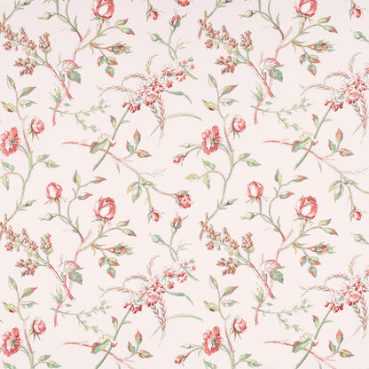 SCHUMACHER  SCHUMACHER CLASSICS BELUZE   BLUSH   - 5011981