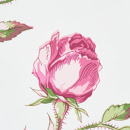 Magenta rose with layered petals and green leaves, vintage botanical illustration on pale background.
