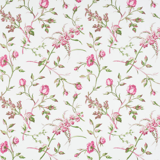 SCHUMACHER  SCHUMACHER CLASSICS BELUZE   MAGENTA   - 5011982