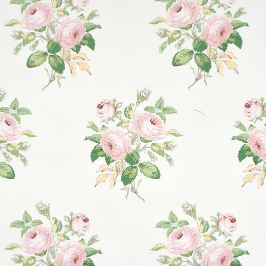 SCHUMACHER  SCHUMACHER CLASSICS LOUDON ROSE   BLUSH   - 5012031