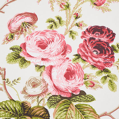 SCHUMACHER  SIGNATURE SCHUMACHER SALISBURY   GARNET   - 5012061