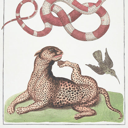 SCHUMACHER  SIGNATURE SCHUMACHER BAUHIN   DOCUMENT MULTI   - 5012090